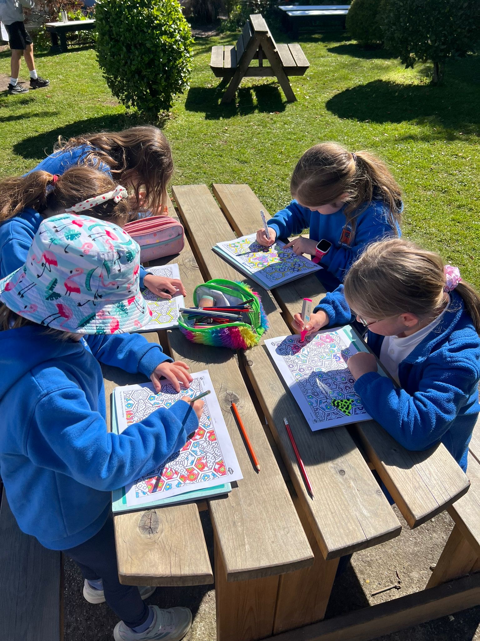 1st Class Chestnut – Outdoor Art 🎨