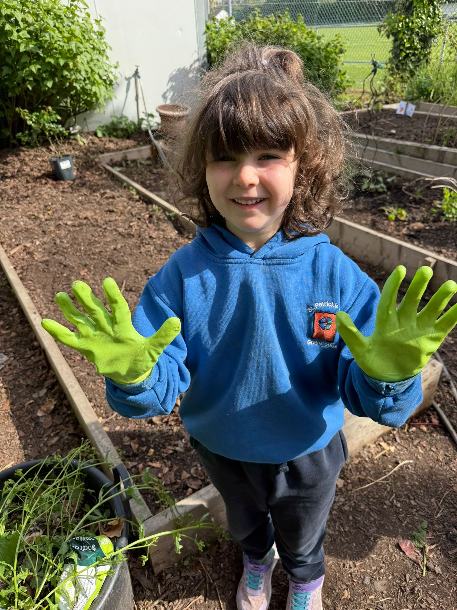 Junior Infants Hazel & 6th Class Laurel Get Planting in the Garden 🌱